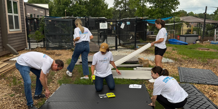people working on building an animal shelter